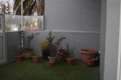 Terrace_place