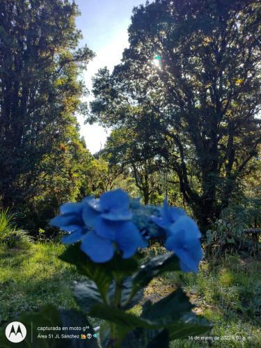 Lodge Caba�as De Monta�a �rea 51