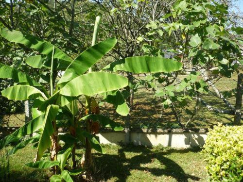 Bed & Breakfast Le Miramont