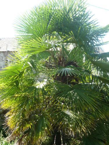 Bed & Breakfast Le Miramont