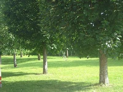 Hotel Logis H�tel Des Grottes