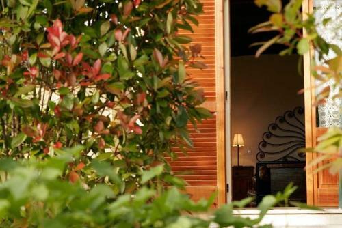 B&B Terra Di Mezzo