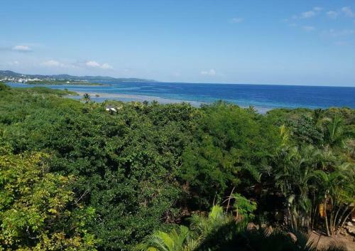 Apartamento Casa Serena Roat�n