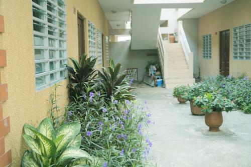 Apartamento Lmdd Home