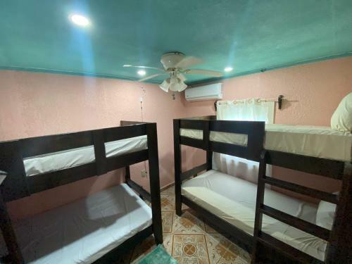 Roatan Forest View Apartment