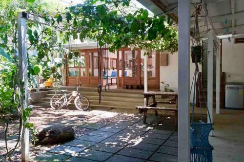 Downtown Jungle House, Big Garden - Walk To Beach