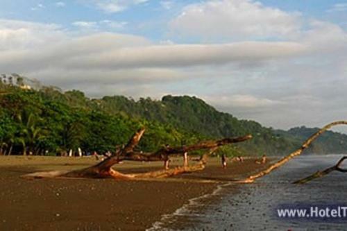 Bamboo River House And Hotel