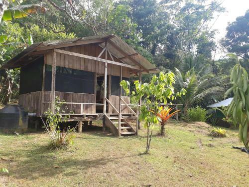 Albergue Drake Bijagua Lodge