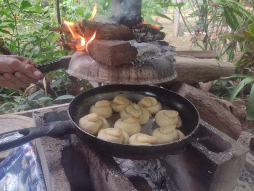 Albergue Drake Bijagua Lodge