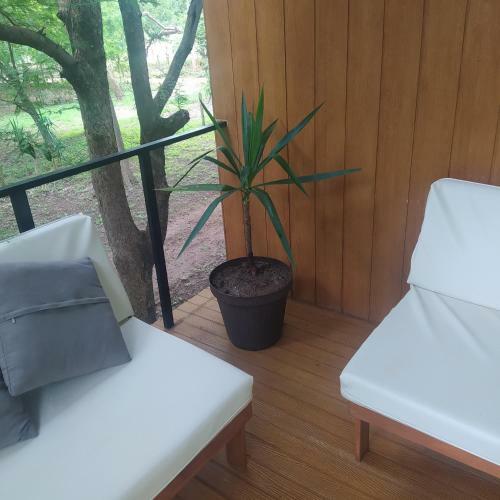 Bed & Breakfast Mola Mola Surf Popoyo