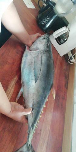 Bed & Breakfast Mola Mola Surf Popoyo