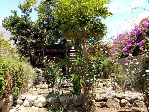 Caba�a En Fundo Huabayor