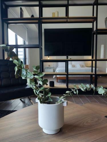 Apartamento Posh 2br In Miraflores