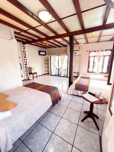 Maidith White Cove Hotel