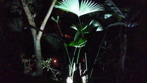 Hostal Misahualli Laguna Paikawe B&B
