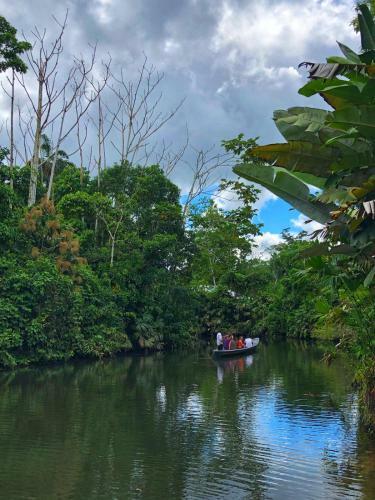 Hostal Misahualli Laguna Paikawe B&B