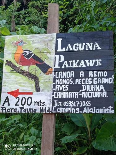 Hostal Misahualli Laguna Paikawe B&B