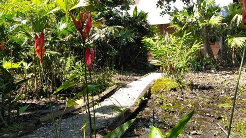 Hostal Misahualli Laguna Paikawe B&B