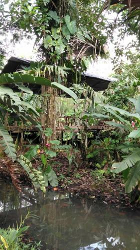 Hostal Misahualli Laguna Paikawe B&B