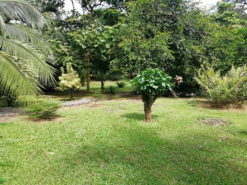 Villa La Casita Green Forest