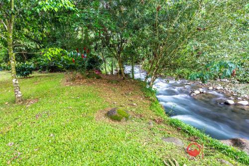 Villa La Casita Green Forest