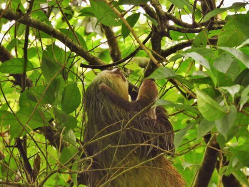Apartamento Sloth House
