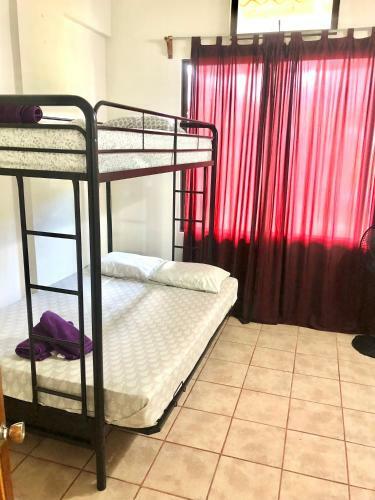 Apartamento Iguana Garden Downtown