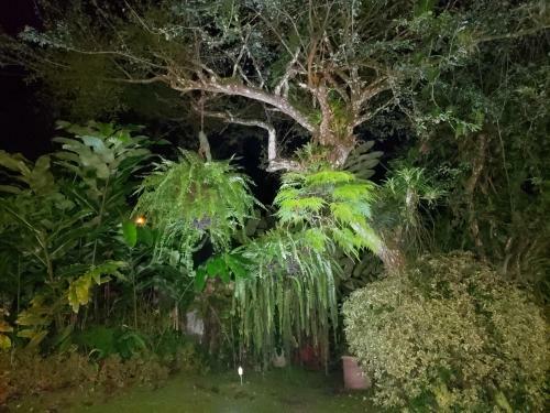 Finca San Antonio In El Valle De Anton