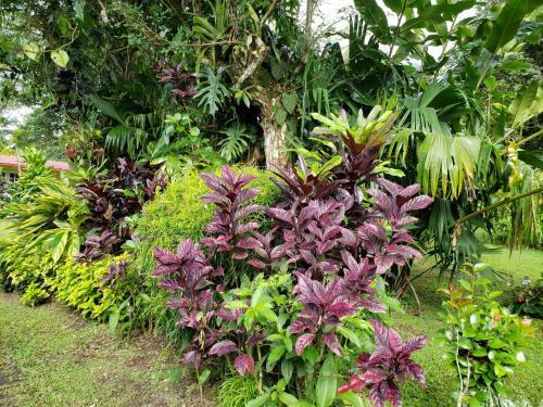 Finca San Antonio In El Valle De Anton