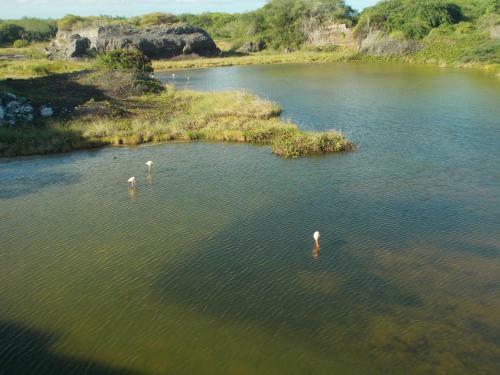 Albergue Paraiso De Isabela