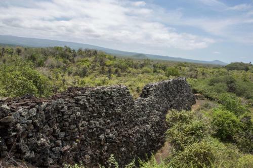 Albergue Paraiso De Isabela