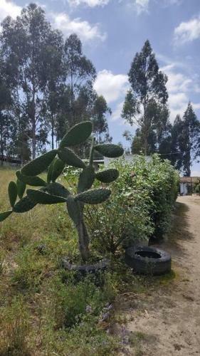 Apartamento Casa De Campo Andina Con Varias Amenidades