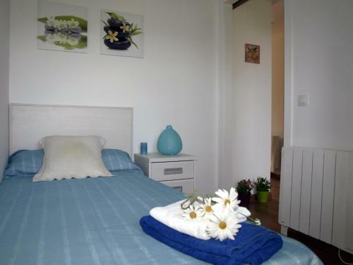 Apartamentos Ordesa Natura