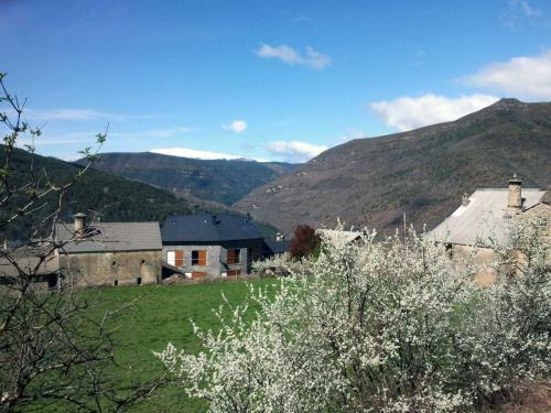 Apartamentos Ordesa Natura
