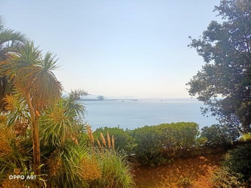 Villa D'albertis
