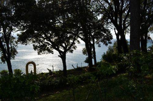 Villa D'albertis