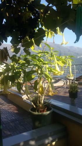 Apartamento Bellavita Fossati