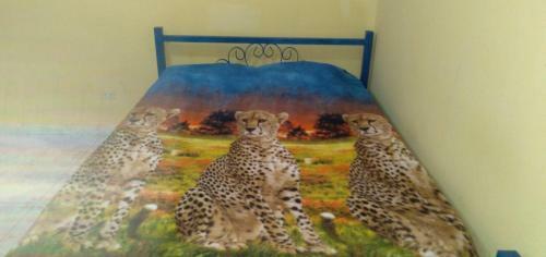Noe And Amas Beautiful Apartment At El Nazareno, La Chorrera