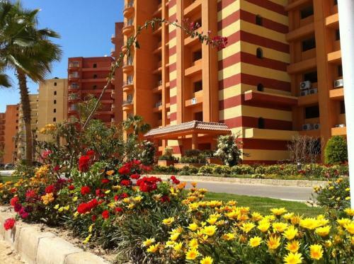 Apartamento Vip Chalet In Golf Porto Marina ???? ??????