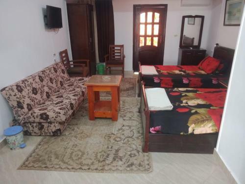 Apartamento Studio Roof 150 Sea View Fully Equipped Green Beach