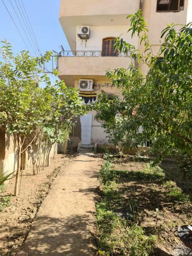 Hostal Mohamed Ali House