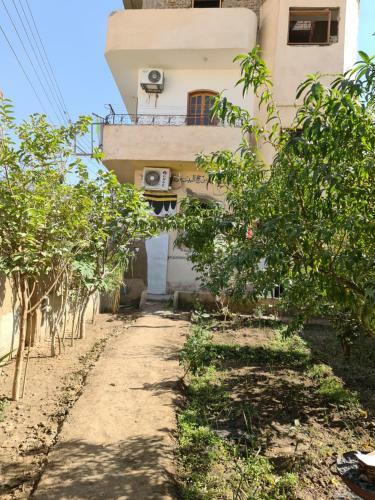 Hostal Mohamed Ali House