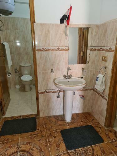 Hostal Mohamed Ali House