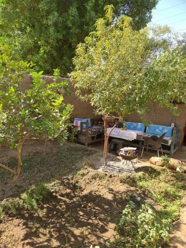 Hostal Mohamed Ali House