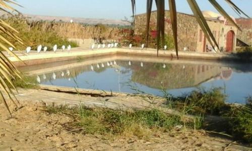 Agroturismo Elysium Resort In Bawiti