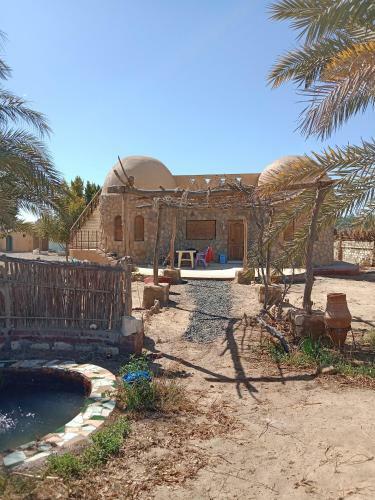 Agroturismo Elysium Resort In Bawiti