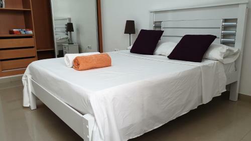 Apartamento Appartamento Da Sogno
