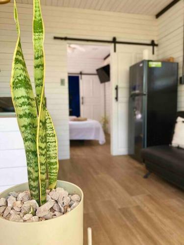 Apartamento Hoja Azul Loft Guanacaste