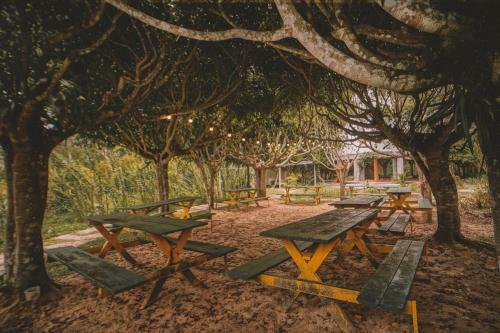 Hotel Kantu Garden Lodge