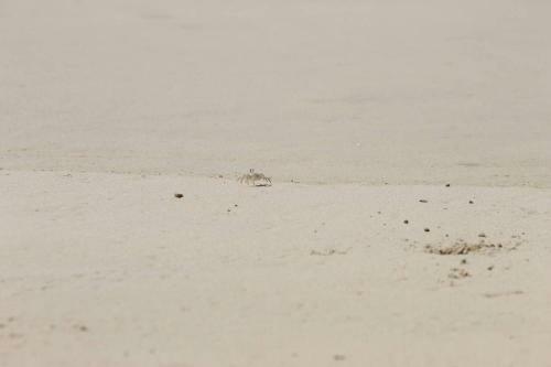 Apartamento Sol Y Mar